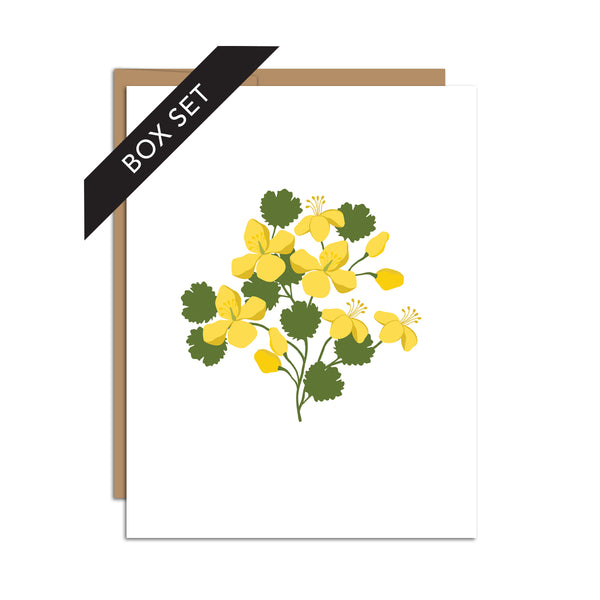 Aster Flowers Mini Note Set – ShopHazelmade