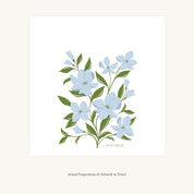 Flat view of the Dogwood Tea Towel showing the full hand-illustrated dogwood flower design and overall design proportions