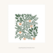 Flat view of the House Plants Tea Towel showing the full hand-illustrated house plant design and overall design proportions