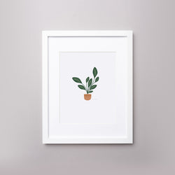 SALE / Calatheas Art Print