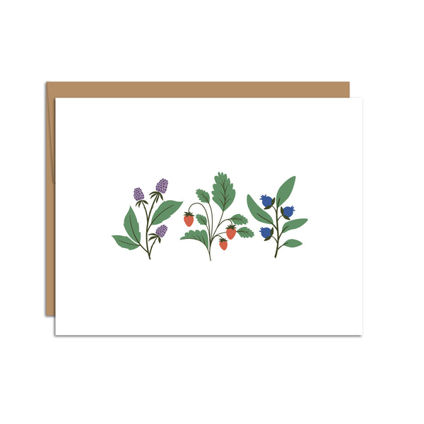 Single folded A2 greeting card with an envelope with an illustration of blackberries, strawberries, and blueberries in the center of the card.