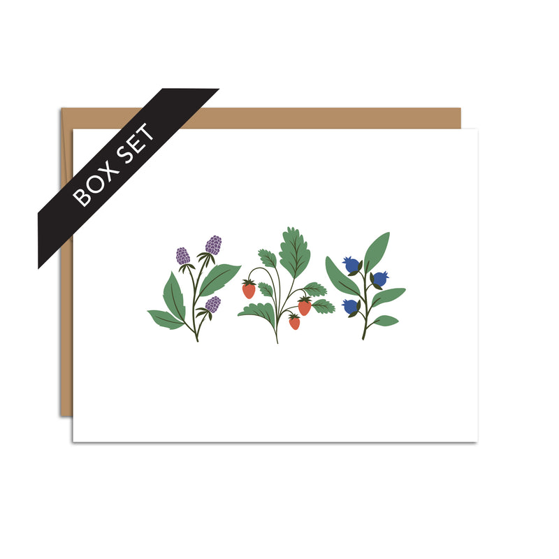Box set of 8 folded A2 greeting cards with envelopes with an illustration of blackberries, strawberries, and blueberries in the center of the card.
