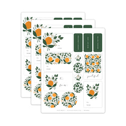 Winter Citrus / Gift Wrap Set of 3 Sticker Sheets