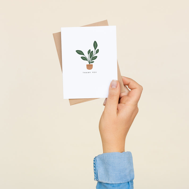 Box set of 8 folded A2 greeting cards with envelopes with an illustration  of a singular house plant in a pot with text below it that states "Thank You".